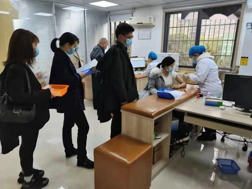 鉚足干勁辦實事，服務群眾開新局——岳麓區黨史學習教育引領教育咨詢服務新實踐